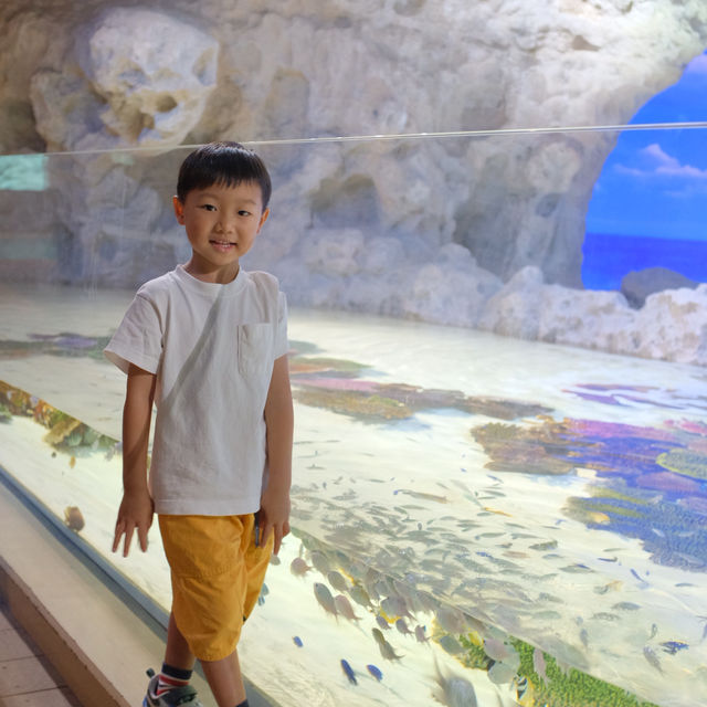 【 超夢幻非一般的海洋體驗 | DMM水族館 】