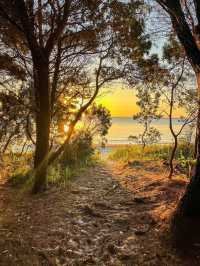Moreton Island