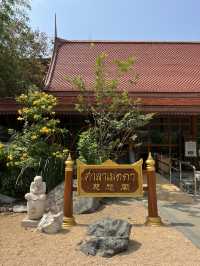 เมตตากาแฟ 