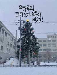 오타루 당일치기/1박2일 여행일정 추천! 