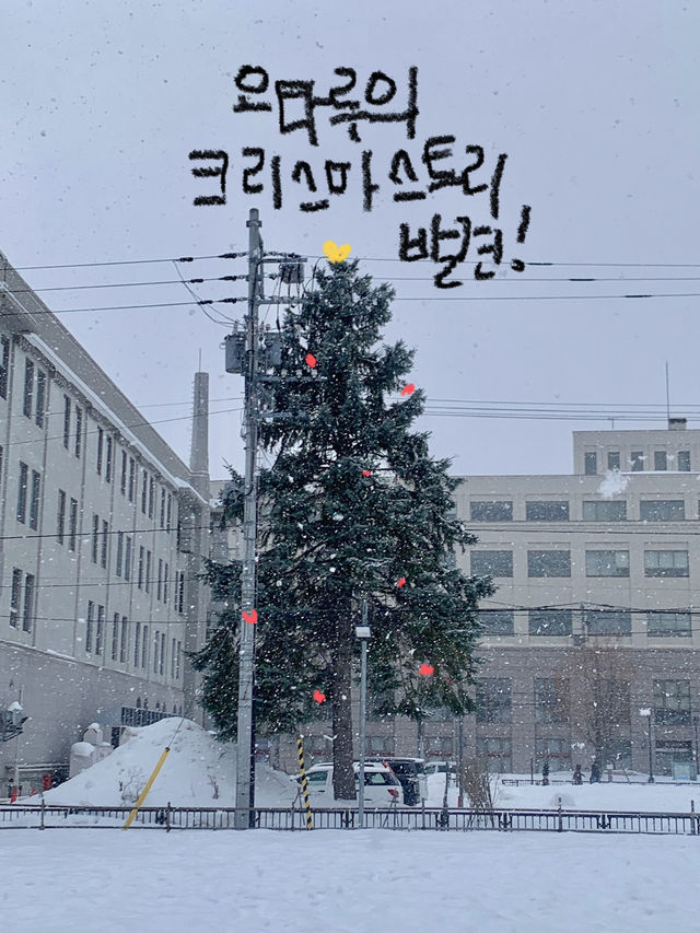 오타루 당일치기/1박2일 여행일정 추천! 