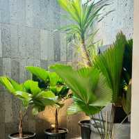 Whispers of Elegance: Experience Umanari Cafe