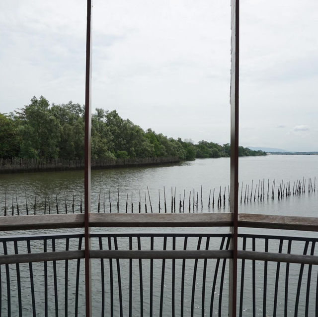 Singapore’s Wild Side: A Scenic Stroll Through Sungei Buloh