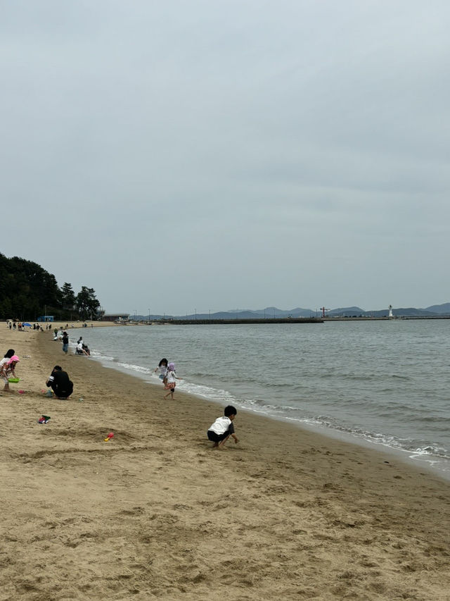 율포솔밭해수욕장