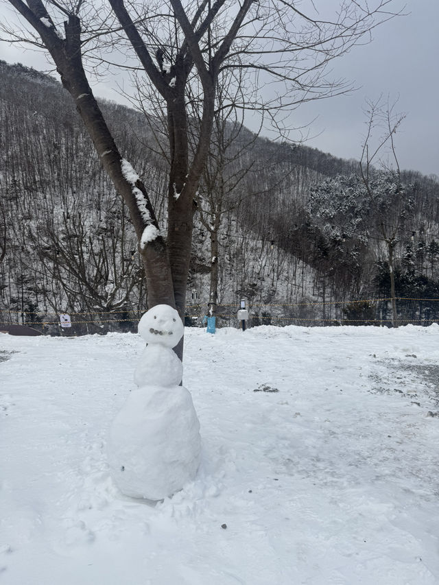 호텔시설 프리미엄 캠핑장
