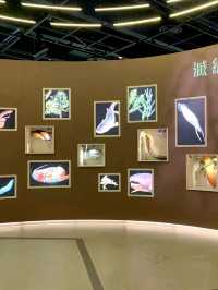 Discover the wonders of science at the Hong Kong Science Museum