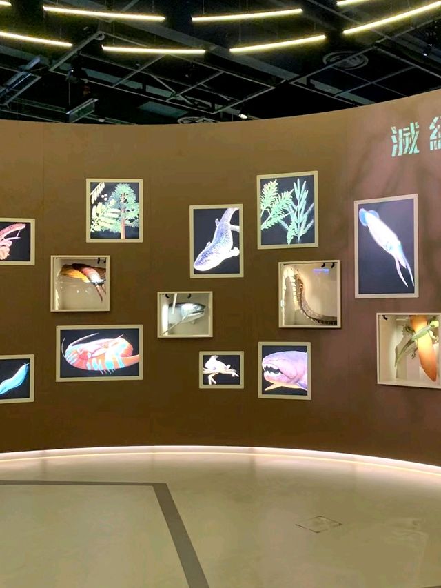 Discover the wonders of science at the Hong Kong Science Museum