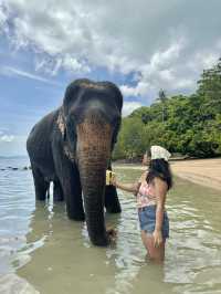 3 Days Tropical Bliss in Phuket