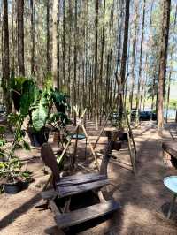 Phupha Coffee Camp ภูผา คอฟฟี่ แค้มป์🏕️