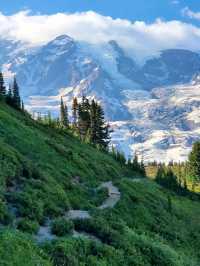 Where Summer Meets Snow – My Journey to Mount Rainier in August