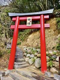 在杉林溪的銀杏湖、金黃樹海耍浪漫