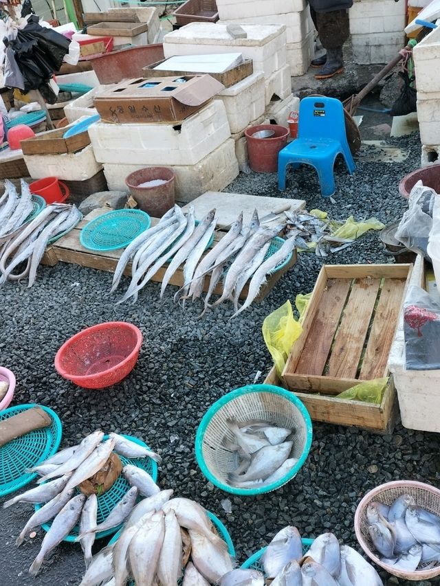 釜山クルーズ船の1人旅
