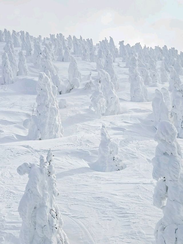 青森で樹氷を見よう