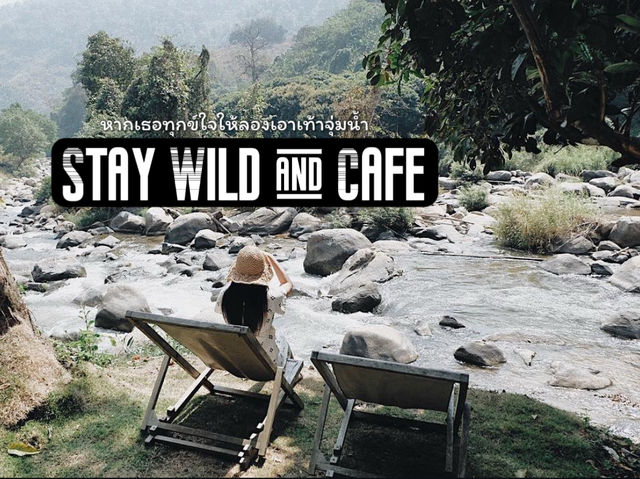 ไปฮีลใจใกล้ชิดธรรมชาติ Stay Wild & Cafe