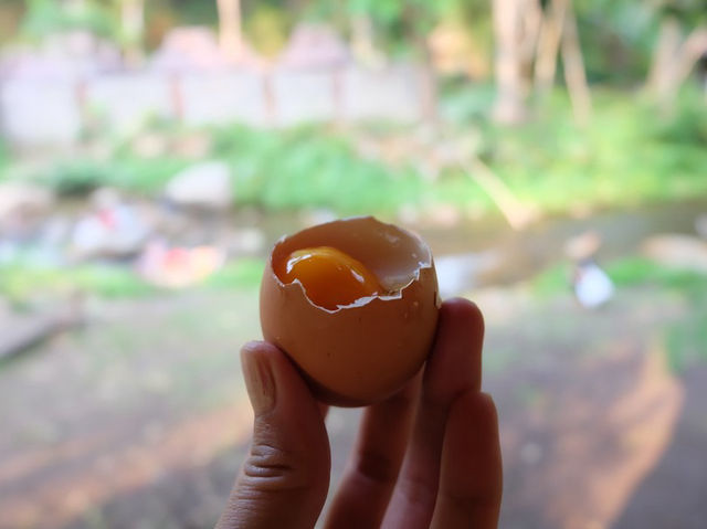 ไปอาบน้ำแร่ กินไข่ออนเซ็นที่ อุทยานแห่งชาติแจ้ซ้อน