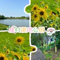 大自然的懷抱 | 樓村濕地公園