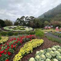 Yangmingshan National Park