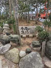 可愛すぎる！かえるの御朱印🐸