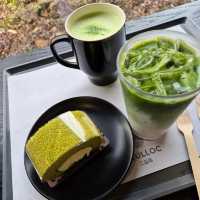 🌳☕️제주 서쪽 가볼만한 곳 오설록 티뮤지엄 