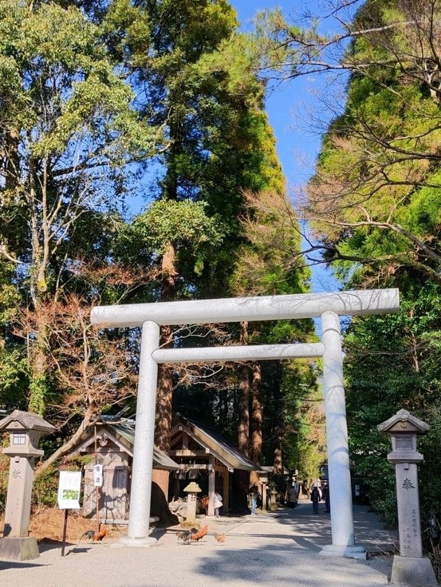日本神話起源的天岩戶神社&天安河原