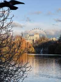 Some hard lessons I learnt from previous trips to London