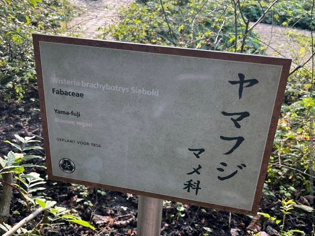 Leiden Botanical Garden (Hortus Botanicus Leiden)