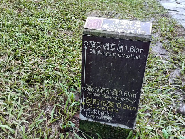 陽明山冷水坑✨寧靜優美的自然秘境 🌿🌊