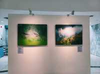 泰國曼谷市中心著名藝術展覽美術館景點：曼谷文化藝術中心 ，適合打卡拍照📸