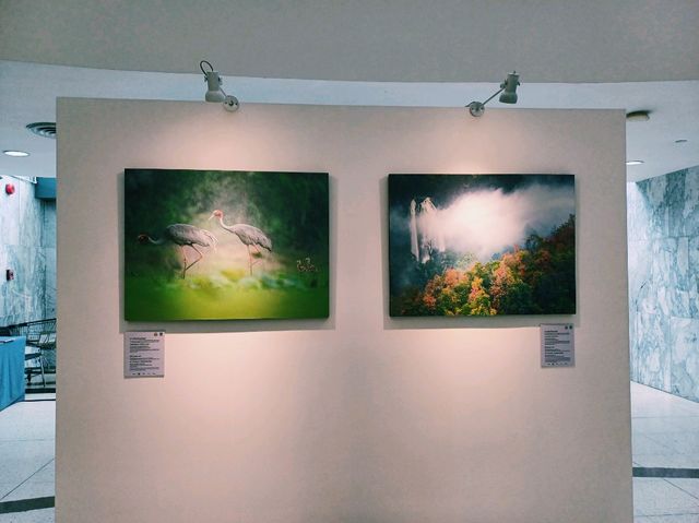 泰國曼谷市中心著名藝術展覽美術館景點：曼谷文化藝術中心 ，適合打卡拍照📸