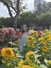How I spent 3 days in Ho Chi Minh City