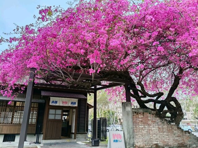 台中景點-國家漫畫博物館