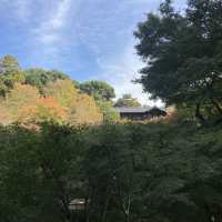 秋に紅葉を見に訪れて欲しい絶景スポット『東福寺』