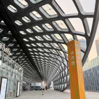 春繭體育館-極具建築特色，造型流暢且富有動感