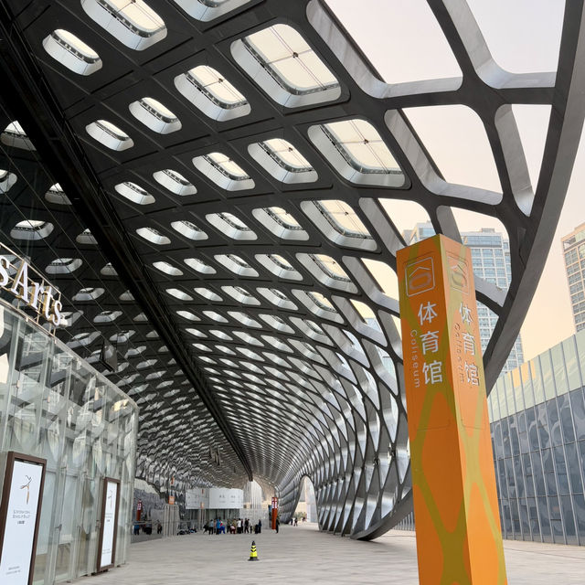 春繭體育館-極具建築特色，造型流暢且富有動感