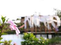 คาเฟ่ริมน้ำ หอมดิน กลิ่นจันทร์
