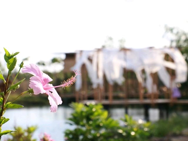 คาเฟ่ริมน้ำ หอมดิน กลิ่นจันทร์