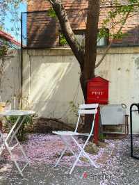 Best Spring Cafés in Seoul🌸 ☕️