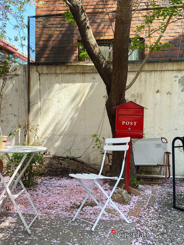 Best Spring Cafés in Seoul🌸 ☕️