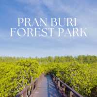 วนอุทยานปราณบุรี 🌿 สูดอากาศดี เดินป่าโกงกาง