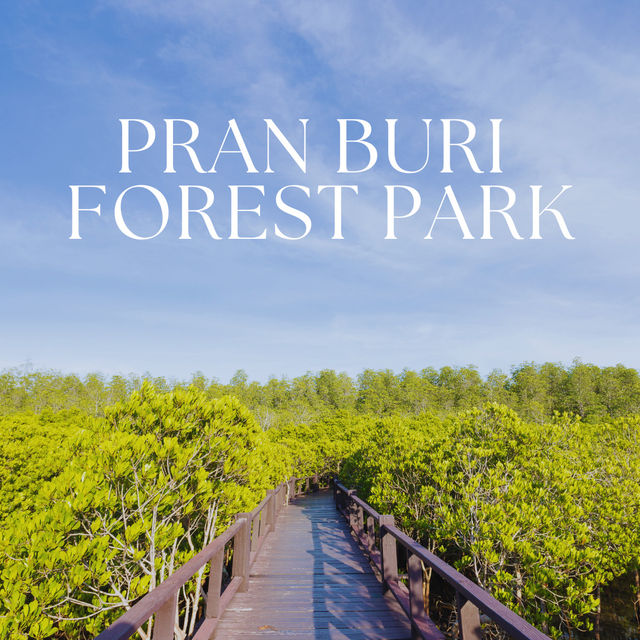 วนอุทยานปราณบุรี 🌿 สูดอากาศดี เดินป่าโกงกาง