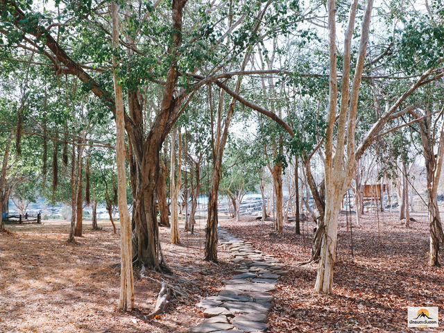 อุทยานแห่งชาติแก่งตะนะ