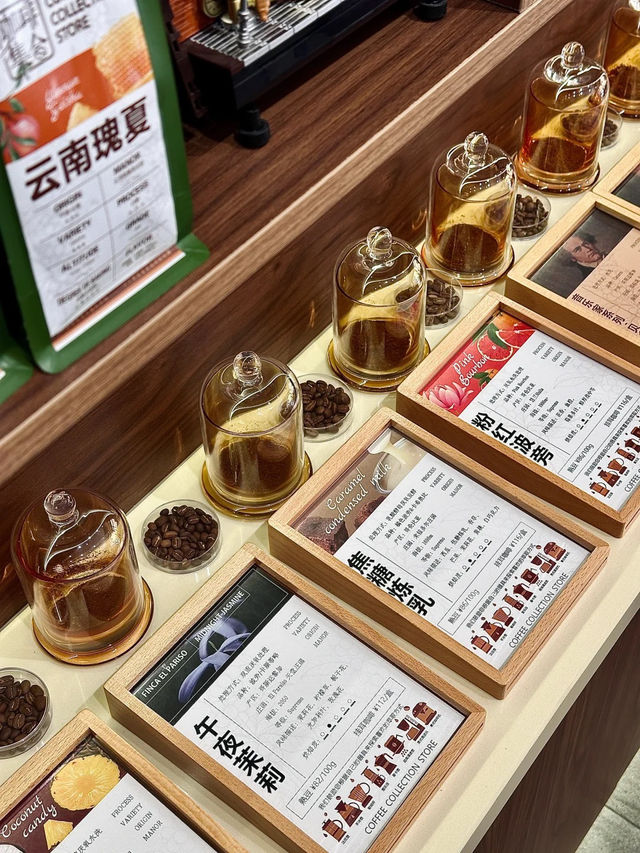 📍昆明咖啡集合店｜全世界的咖啡豆都在這裡！