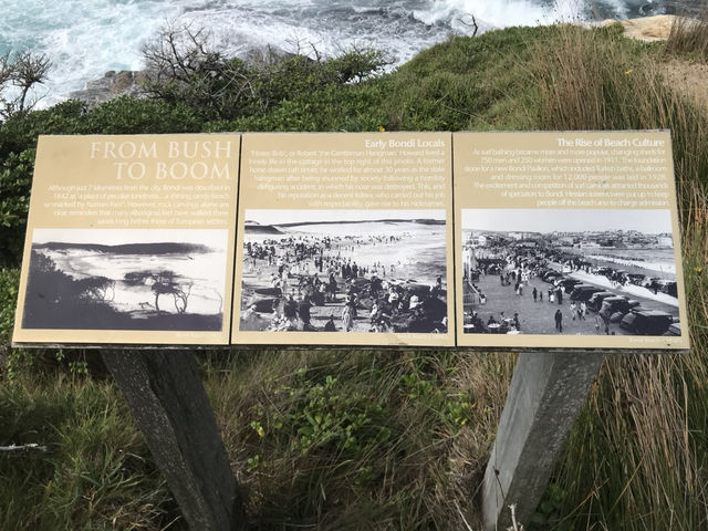Bondi to Coogee Walk: Sydney’s Most Iconic Coastal Trail