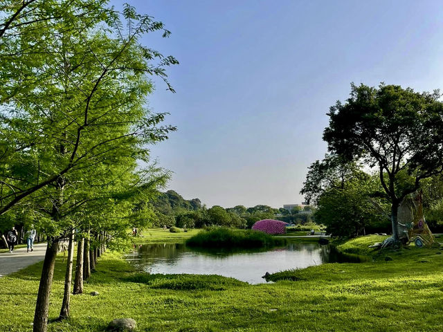 月眉人工濕地生態公園ㄧ日浪漫遊