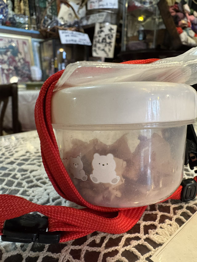 【北九州カフェ】猫が天井を歩く!?知る人ぞ知るレトロな喫茶店☕️