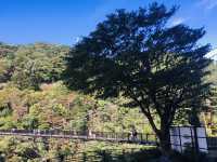 Kinugawa Onsen Hotel แช่ออนเซ็น ฟังเสียงแม่น้ำ 