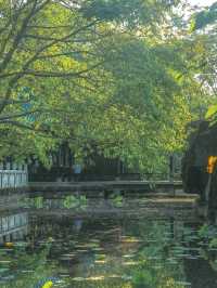 Chill by the Lake in Chengdu