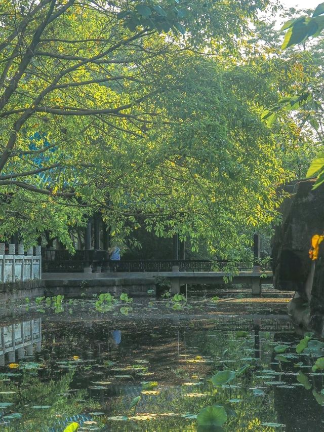 Chill by the Lake in Chengdu