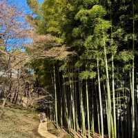 ～穿越時光 ~ 舊岩崎家宅邸庭園～  