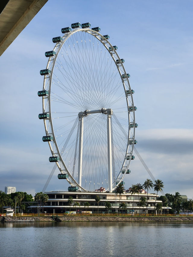 22 Hours in Singapore: Walking Non Stop🇸🇬
